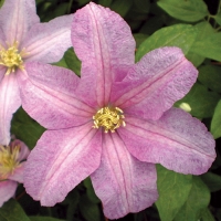 f1_1fa22078-e7f2-47a5-9d66-ef003677d872 f1_1fa22078-e7f2-47a5-9d66-ef003677d872