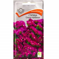 ������� ������ ���������