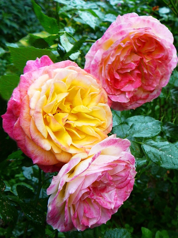 f1_0ebd00fe-0dc0-42e3-9dbe-c963903df4fd f1_0ebd00fe-0dc0-42e3-9dbe-c963903df4fd