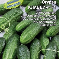 ������ ������� F1