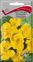 19651