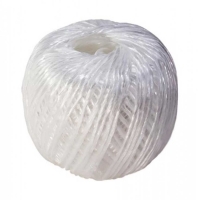 ������ ��