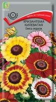 hrizantema_kilevataya_smes_okrasok