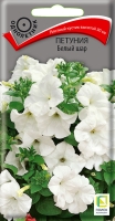petunia_bely_shar petunia_bely_shar