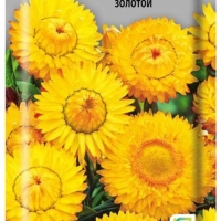 королевский размер золотой королевский размер золотой