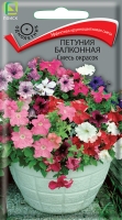 petunia_balkon_smes_okrasok