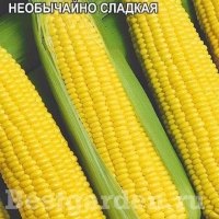 НоменклатураПрисоединенныеФайлы НоменклатураПрисоединенныеФайлы