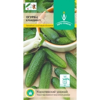 огурец клавдия огурец клавдия