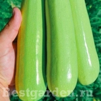 �������������������������������