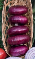 luk-sladkiy-krym