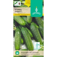 ������ �����