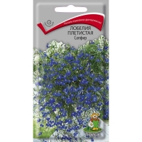 ������� ��������� ������