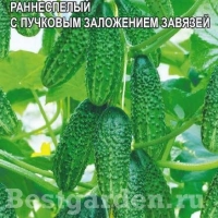 НоменклатураПрисоединенныеФайлы НоменклатураПрисоединенныеФайлы