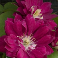 НоменклатураПрисоединенныеФайлы НоменклатураПрисоединенныеФайлы