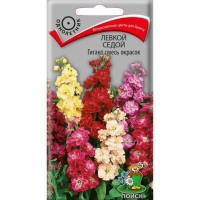 НоменклатураПрисоединенныеФайлы НоменклатураПрисоединенныеФайлы