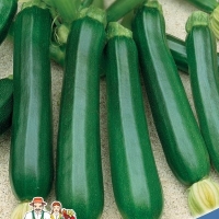 �������������������������������