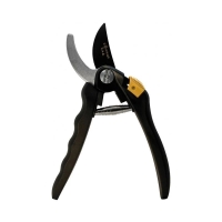 ������� ����� ��� SG 2001