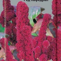 ������� ����������� ��� ��������