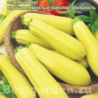 �������������������������������