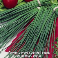 Лук шнитт Мудрец Лук шнитт Мудрец