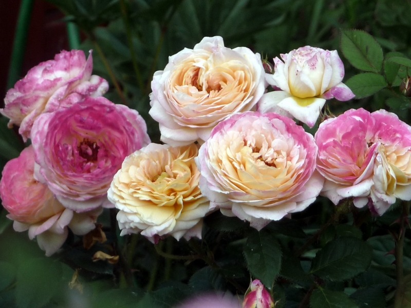 f1_d51ca3b3-6eb1-452b-bbbf-92901a9d4a3d f1_d51ca3b3-6eb1-452b-bbbf-92901a9d4a3d