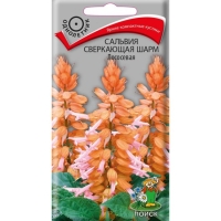 ������� ���������� ���� ���������