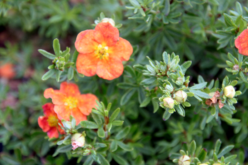 f1_59ec46f4-68cf-46bf-8f7a-ccb557eb79a9