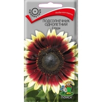 ������������ �����. ���������� ������ 0,3��.