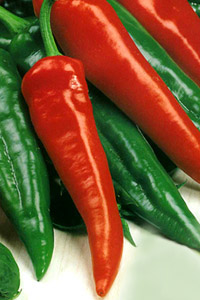 f1_e46c4108-0b29-4336-b8c2-03f56142b1eb