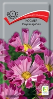 kosmeya_rakushka_krasnaya