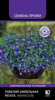 lobelia_ampelnaya_regata_marin_blue lobelia_ampelnaya_regata_marin_blue