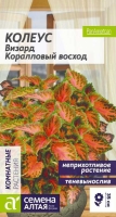 колеус коралловый71ce колеус коралловый71ce