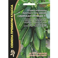 Сибирская Сибирская