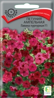 petunia_ampel_lavina_purpurnaya_f1