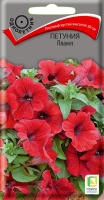 петуния Пламя петуния Пламя