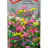 Статица Радужная смесь Статица Радужная смесь