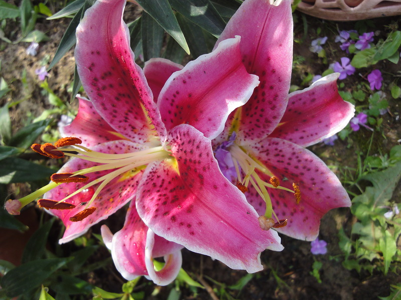 f1_b5ae80db-5967-4d87-8394-95bbd39a2355