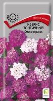iberis_zont_smes_okrasok