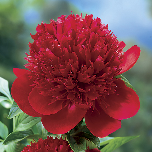 f1_ee161a0b-4c07-462a-a61d-34c96332455f f1_ee161a0b-4c07-462a-a61d-34c96332455f