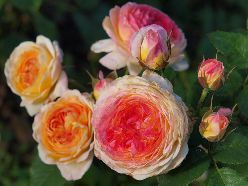 f1_a69ee814-70eb-4610-ab7c-ebf179f5bddb