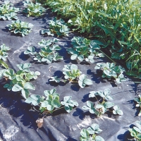 �������������������������������