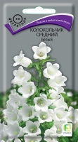 kolokolchik_sredniy_beliy