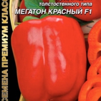 �����-�������-��������������-����-�������-�������-F1