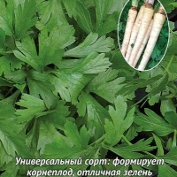 Петрушка Универсал Петрушка Универсал