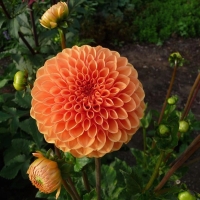 ������� 18