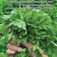 Петрушка листовая Пышная Особа Петрушка листовая Пышная Особа