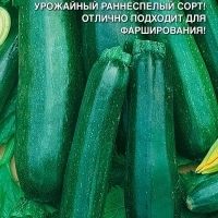 �������������������������������