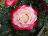 2lui8a9kd9lcjv1xu8vm9clq8dqoj3f5 2lui8a9kd9lcjv1xu8vm9clq8dqoj3f5