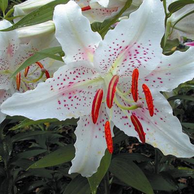 f1_6fb0bb3c-445b-4442-83f7-e81bfcfe39f0