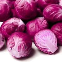 ��������� ������